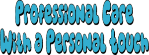 dog sitting professional care dog sitting professional care